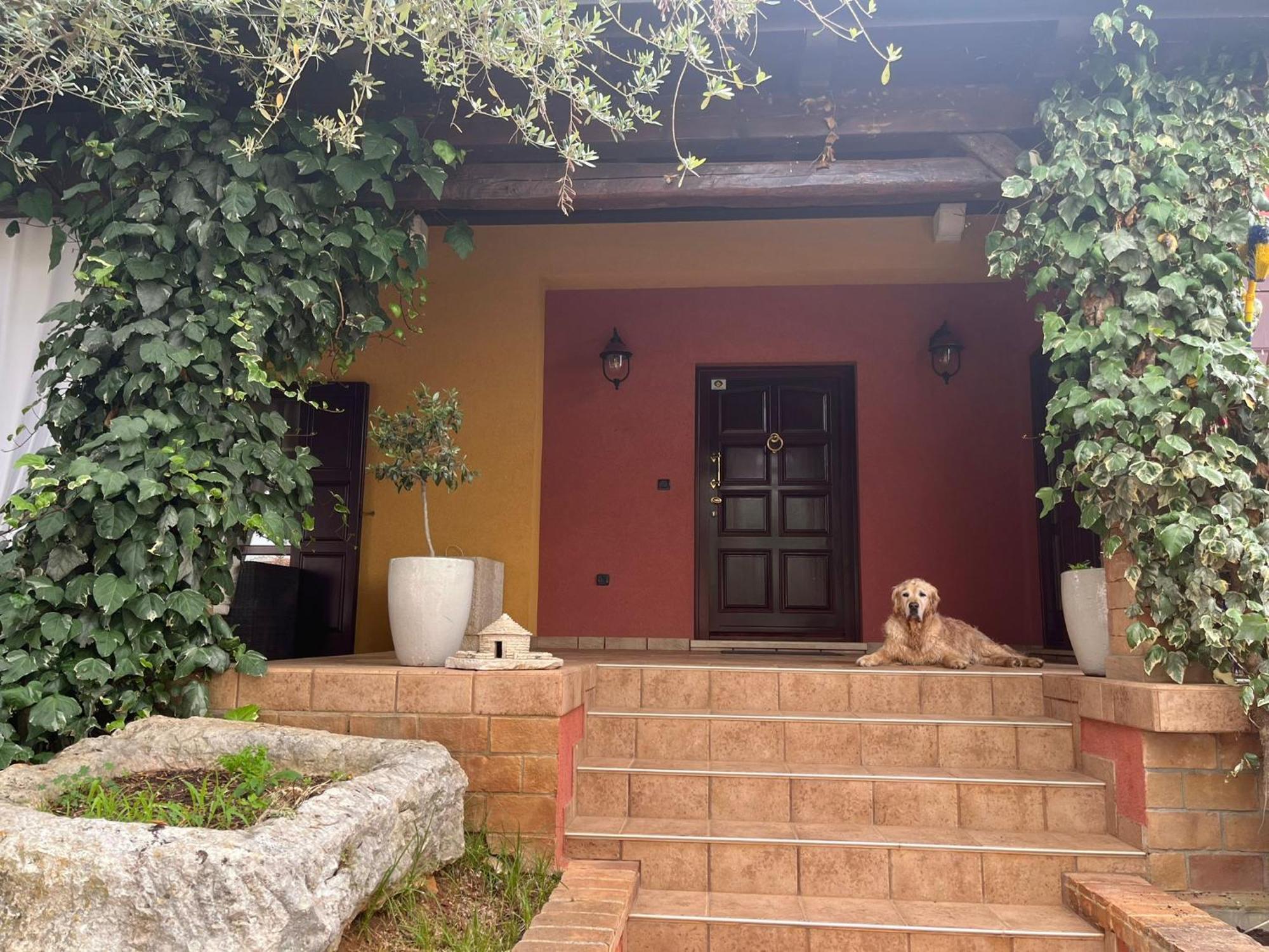 New!!! La Magrina - Bed&Breakfast Vrsar Bagian luar foto
